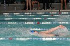 Swimming vs Babson  Wheaton College Swimming & Diving vs Babson College. - Photo By: KEITH NORDSTROM : Wheaton, Swimming